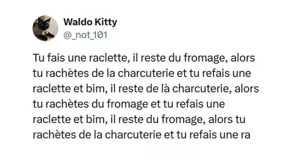 Image de couverture de l'article : Top 15 des meilleurs tweets sur la raclette, c’est déjà la saison !