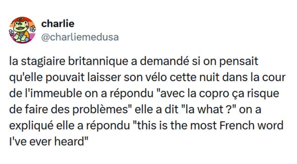 Image de couverture de l'article : Top 15 des tweets les plus drôles sur la copropriété, v’la les problèmes !