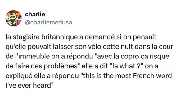 Image de couverture de l'article : Top 15 des tweets les plus drôles sur la copropriété, v’la les problèmes !