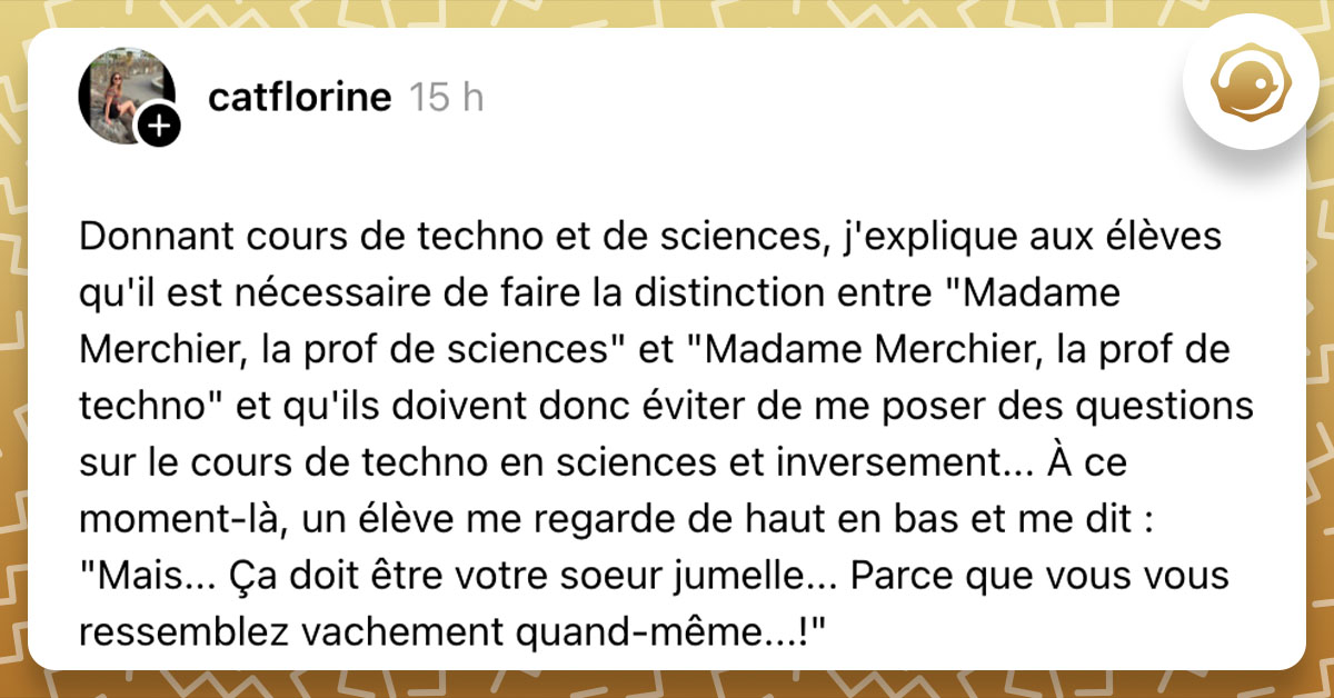 Post de @catflorine : "Donnant cours de techno et de sciences, j'explique aux élèves qu'il est nécessaire de faire la distinction entre "Madame Merchier, la prof de sciences" et "Madame Merchier, la prof de techno" et qu'ils doivent donc éviter de me poser des questions sur le cours de techno en sciences et inversement... À ce moment-là, un élève me regarde de haut en bas et me dit : "Mais... Ça doit être votre soeur jumelle... Parce que vous vous ressemblez vachement quand-même...!""