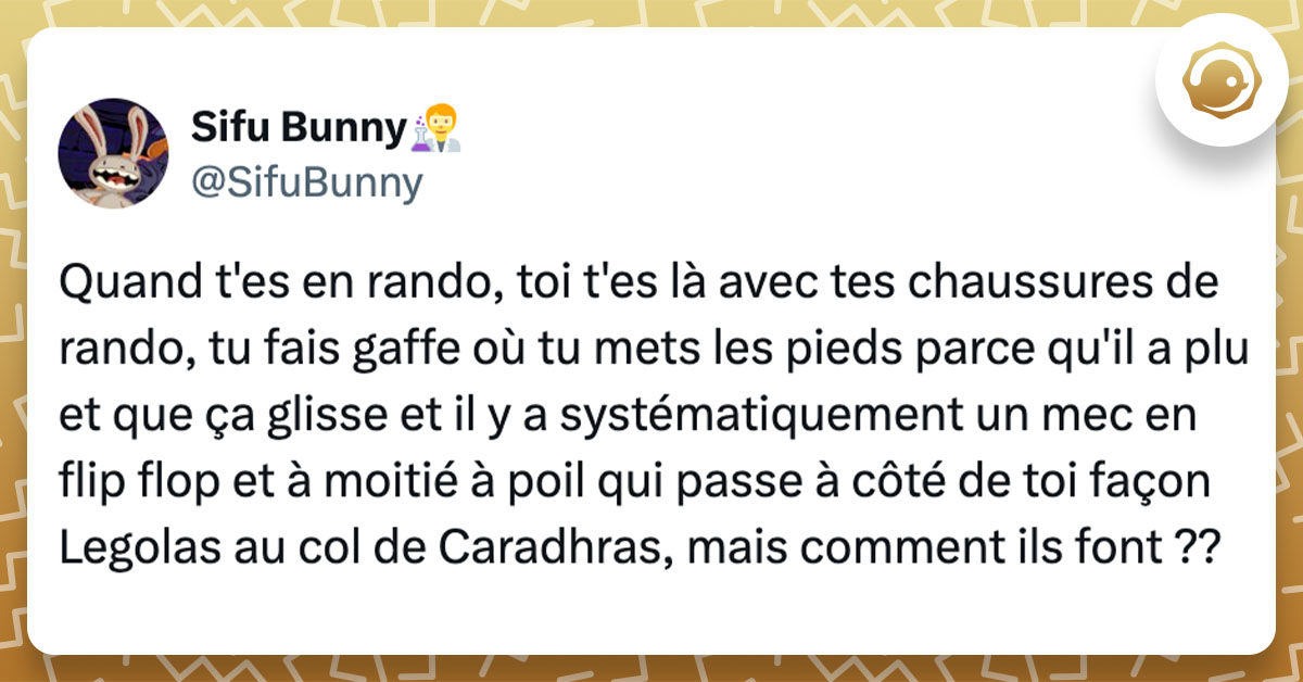 Tweet de @SifuBunny : "Quand t'es en rando, toi t'es là avec tes chaussures de rando, tu fais gaffe où tu mets les pieds parce qu'il a plu et que ça glisse et il y a systématiquement un mec en flip flop et à moitié à poil qui passe à côté de toi façon Legolas au col de Caradhras, mais comment ils font ??"