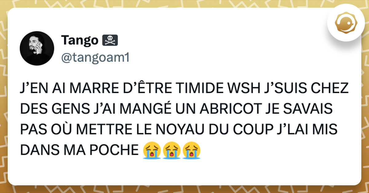 Tweet de @tangoam1 : "J&rsquo;EN AI MARRE D&rsquo;&Ecirc;TRE TIMIDE WSH J&rsquo;SUIS CHEZ DES GENS J&rsquo;AI MANG&Eacute; UN ABRICOT JE SAVAIS PAS O&Ugrave; METTRE LE NOYAU DU COUP J&rsquo;LAI MIS DANS MA POCHE 😭😭😭"