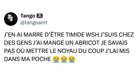 Image de couverture de l'article : Top 15 des meilleurs posts sur les gens timides, non vas-y parle toi