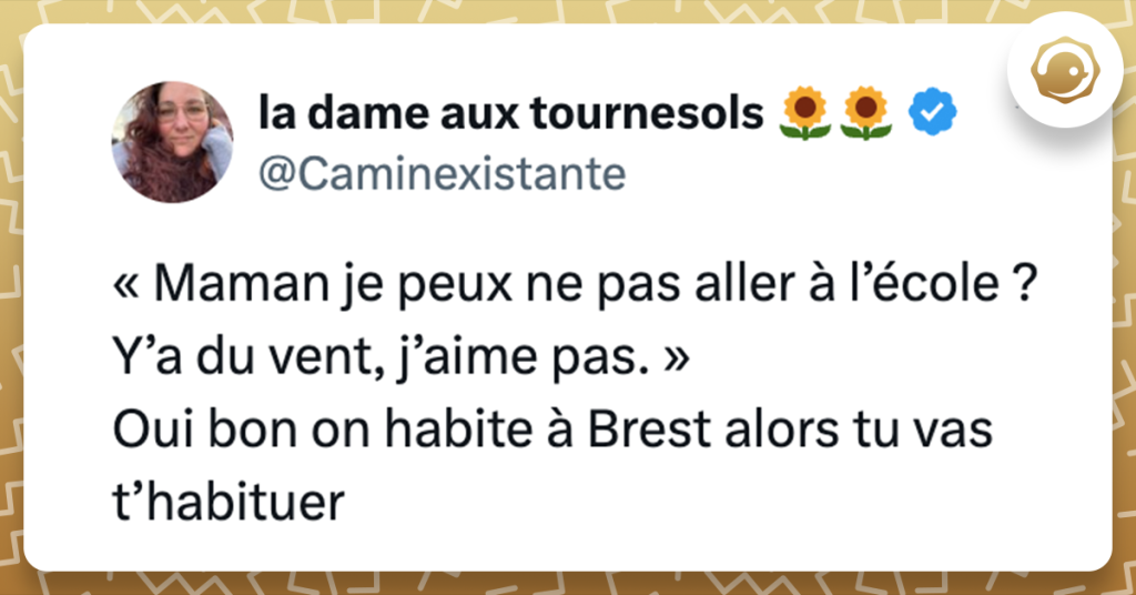 @Caminexistante « Maman je peux ne pas aller à l’école ? Y’a du vent, j’aime pas. » Oui bon on habite à Brest alors tu va t’habituer