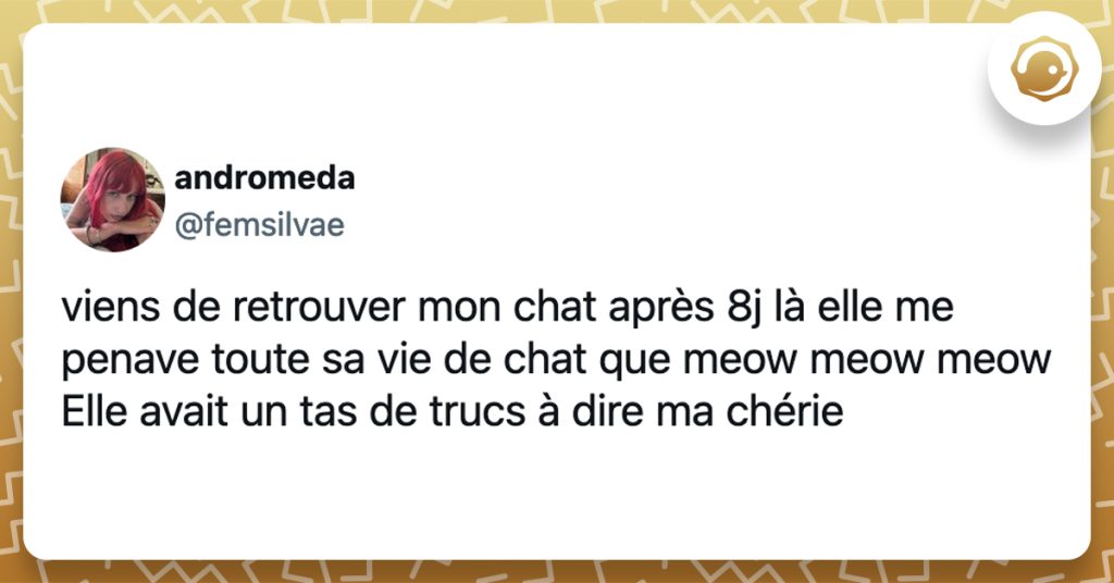 @femsilvae viens de retrouver mon chat après 8j là elle me penave toute sa vie de chat que meow meow meow Elle avait un tas de trucs à dire ma chérie