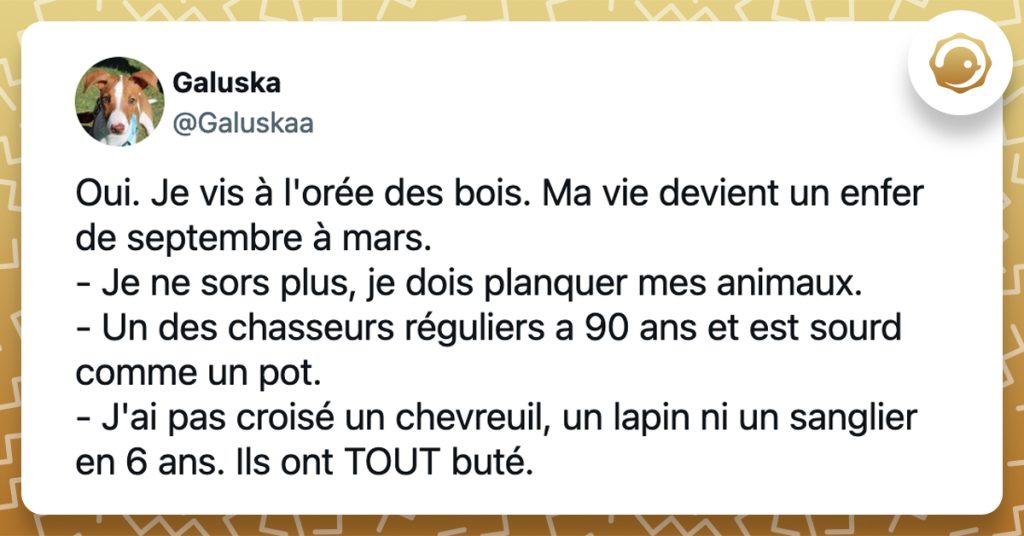 @Galuskaa Oui. Je vis à l'orée des bois. Ma vie devient un enfer de septembre à mars. - Je ne sors plus, je dois planquer mes animaux. - Un des chasseurs réguliers a 90 ans et est sourd comme un pot. - J'ai pas croisé un chevreuil, un lapin ni un sanglier en 6 ans. Ils ont TOUT buté.