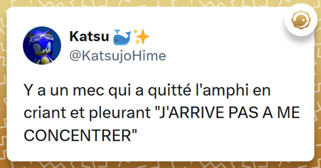 Tweet liseré de jaune de @KatsujoHime disant "Y a un mec qui a quitté l'amphi en criant et pleurant "J'ARRIVE PAS A ME CONCENTRER"