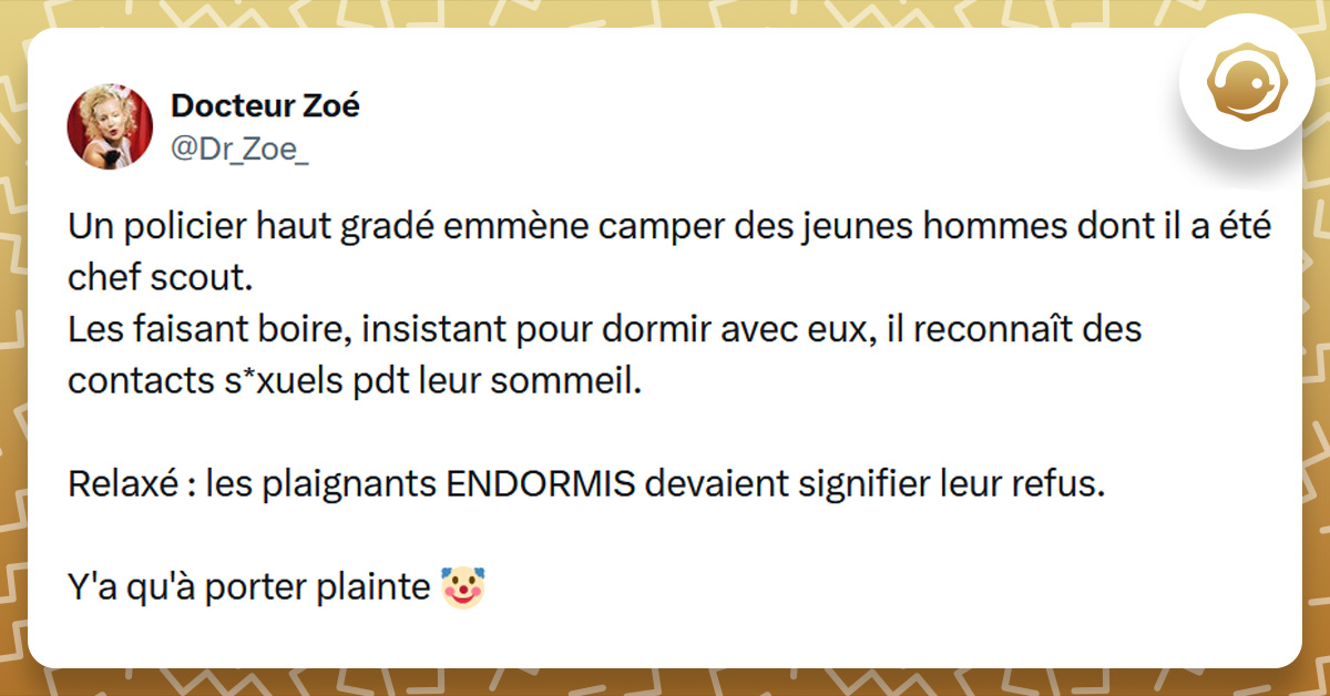 Tweet liseré de jaune de @Dr_Zoe_ disant "Un policier haut gradé emmène camper des jeunes hommes dont il a été chef scout. Les faisant boire, insistant pour dormir avec eux, il reconnaît des contacts s*xuels pdt leur sommeil. Relaxé : les plaignants ENDORMIS devaient signifier leur refus. Y'a qu'à porter plainte 🤡"