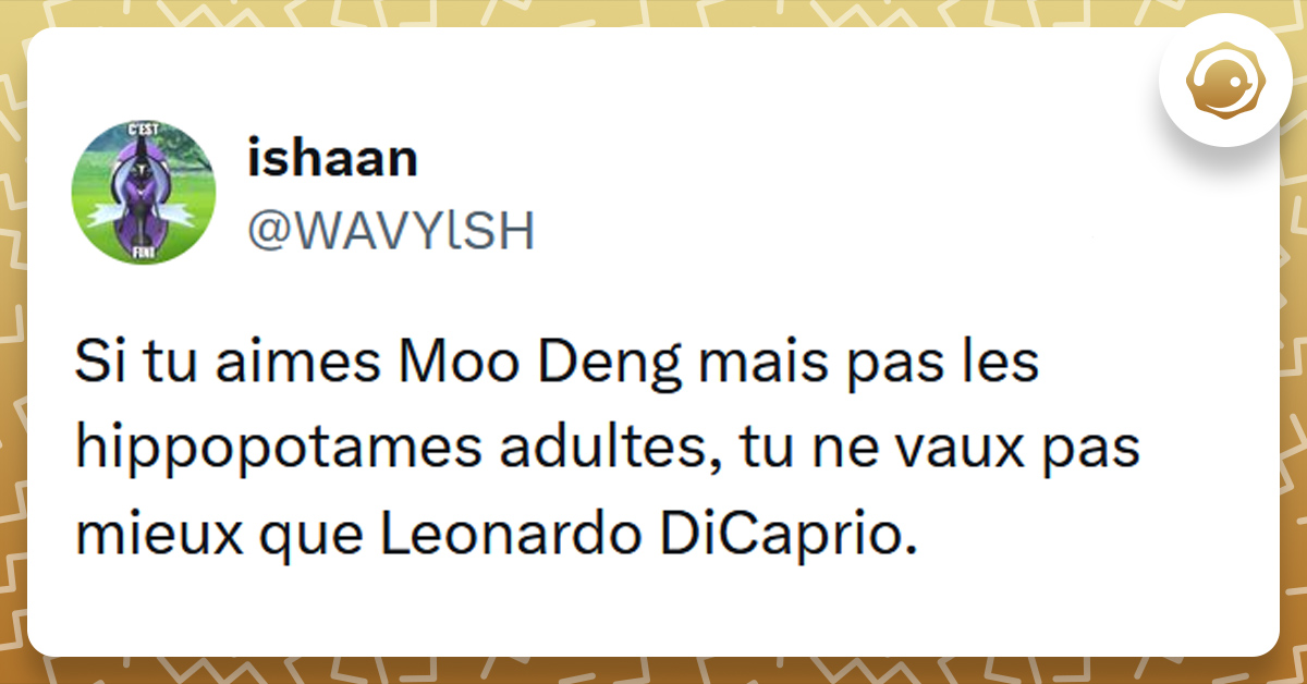 Tweet liser&eacute; de jaune de @WAVYlSH disant "Si tu aimes Moo Deng mais pas les hippopotames adultes, tu ne vaux pas mieux que Leonardo DiCaprio."