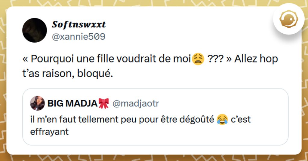 Tweet liseré de jaune de @xannie509 disant « Pourquoi une fille voudrait de moi😫 ??? » Allez hop t’as raison, bloqué.