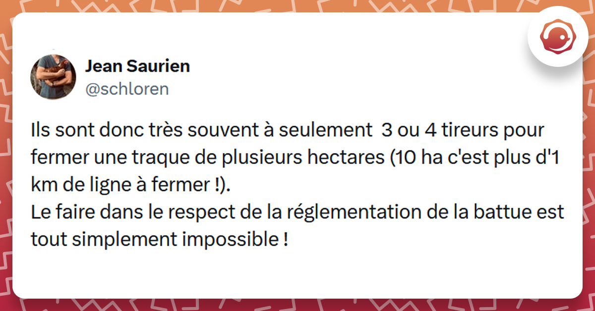 Tweet liseré de rouge de @schloren disant "Ils sont donc très souvent à seulement 3 ou 4 tireurs pour fermer une traque de plusieurs hectares (10 ha c'est plus d'1 km de ligne à fermer !). Le faire dans le respect de la réglementation de la battue est tout simplement impossible !"
