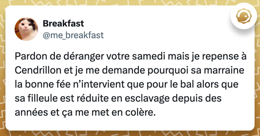 Tweet de @me_breakfast : "Pardon de déranger votre samedi mais je repense à Cendrillon et je me demande pourquoi sa marraine la bonne fée n’intervient que pour le bal alors que sa filleule est réduite en esclavage depuis des années et ça me met en colère."