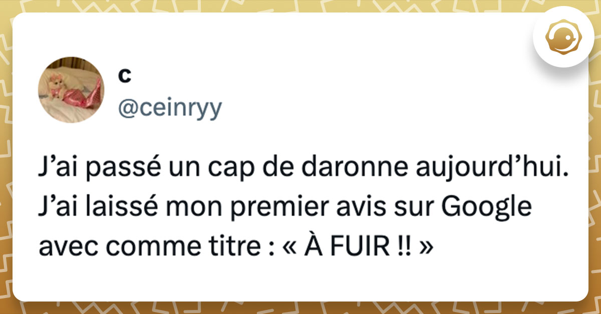 Tweet de @ceinryy : "J’ai passé un cap de daronne aujourd’hui. J’ai laissé mon premier avis sur Google avec comme titre : « À FUIR !! »"