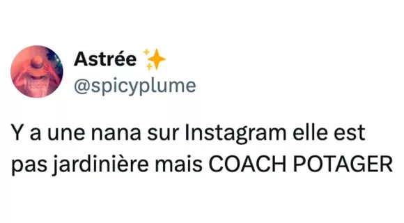 Image de couverture de l'article : Top 15 des meilleurs posts sur Instagram, LE réseau pour flexer