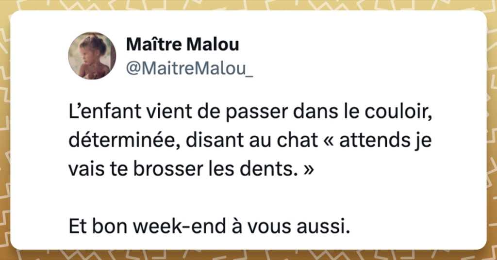 @MaitreMalou_ L’enfant vient de passer dans le couloir, déterminée, disant au chat « attends je vais te brosser les dents. » Et bon week-end à vous aussi.