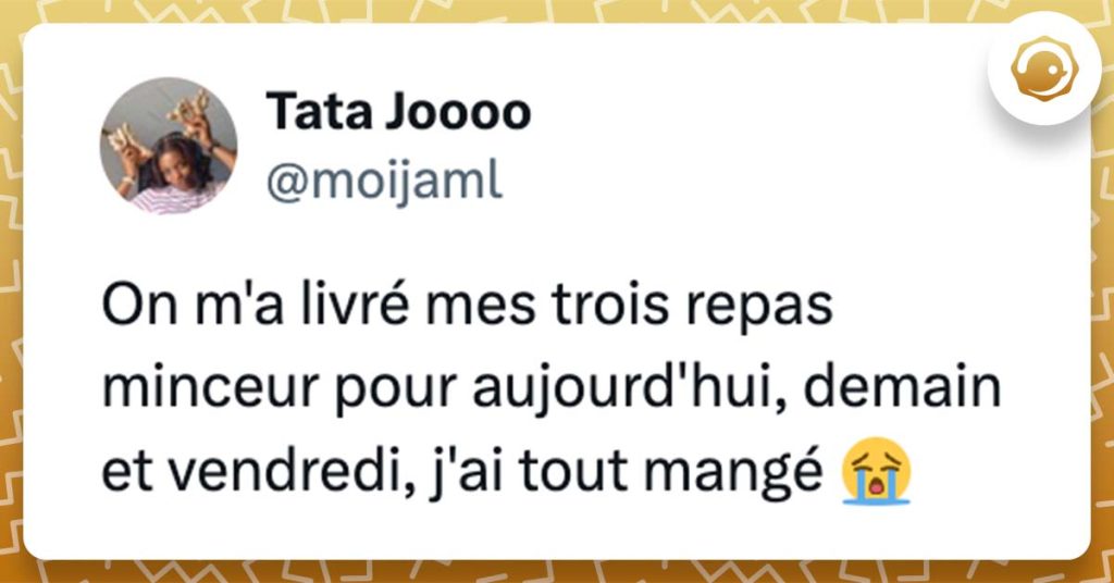 Tweet de @moijaml On m'a livré mes trois repas minceur pour aujourd'hui, demain et vendredi, j'ai tout mangé 😭