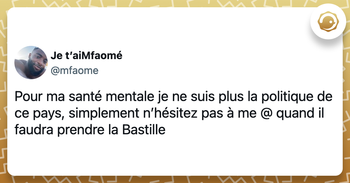 @mfaome Pour ma santé mentale je ne suis plus la politique de ce pays, simplement n’hésitez pas à me @ quand il faudra prendre la Bastille