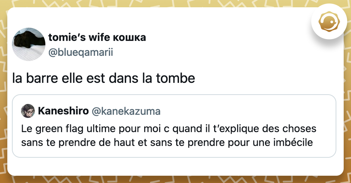 "@kanekazuma Le green flag ultime pour moi c quand il t’explique des choses sans te prendre de haut et sans te prendre pour une imbécile" @blueqamarii la barre elle est dans la tombe