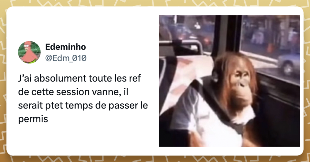 J’ai absolument toute les ref de cette session vanne, il serait ptet temps de passer le permis + image d'un singe assis dans un bus