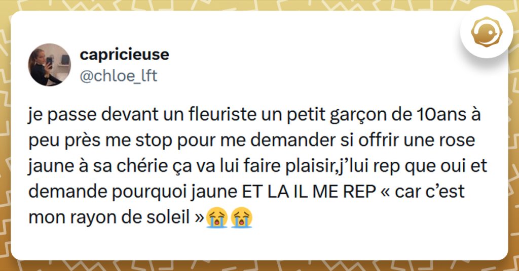 Tweet liseré de jaune de @chloe_lft disant "je passe devant un fleuriste un petit garçon de 10ans à peu près me stop pour me demander si offrir une rose jaune à sa chérie ça va lui faire plaisir,j’lui rep que oui et demande pourquoi jaune ET LA IL ME REP « car c’est mon rayon de soleil »"