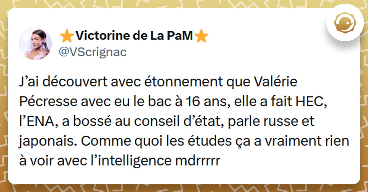 Tweet liseré de jaune de @VScrignac disant "J’ai découvert avec étonnement que Valérie Pécresse avec eu le bac à 16 ans, elle a fait HEC, l’ENA, a bossé au conseil d’état, parle russe et japonais. Comme quoi les études ça a vraiment rien à voir avec l’intelligence mdrrrrr"