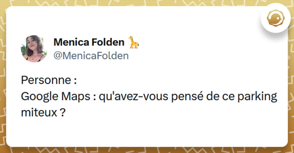 Tweet liseré de jaune de @MenicaFolden disant "Personne : Google Maps : qu'avez-vous pensé de ce parking miteux ?"