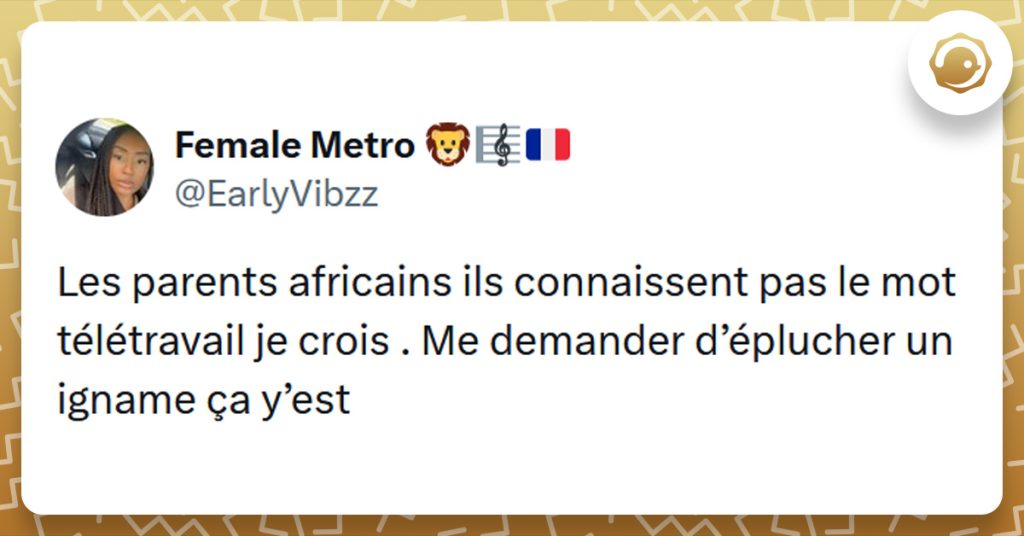 Tweet liseré de jaune de @EarlyVibzz disant "Les parents africains ils connaissent pas le mot télétravail je crois . Me demander d’éplucher un igname ça y’est"