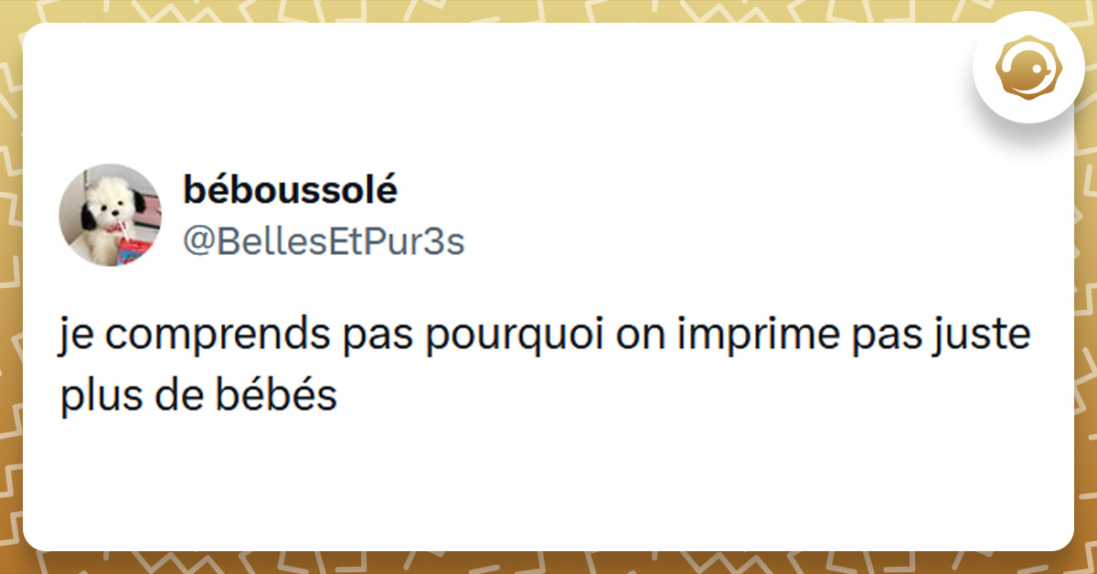 Post liseré de jaune de @BellesEtPur3s disant "je comprends pas pourquoi on imprime pas juste plus de bébés"