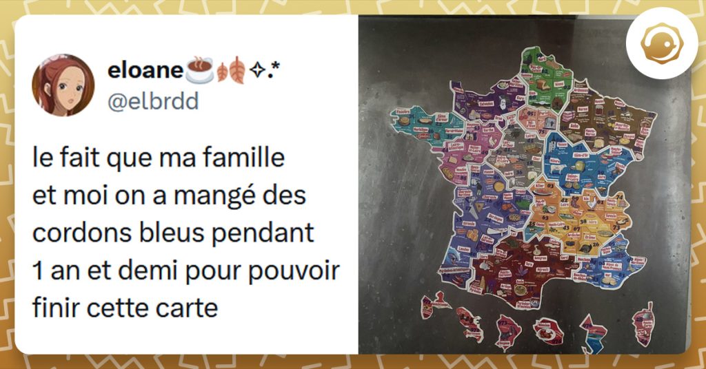 Image d'une carte de France en magnets sur un frigo. Tweet liseré de jaune de @elbrdd disant "le fait que ma famille et moi on a mangé des cordons bleus pendant 1 an et demi pour pouvoir finir cette carte"