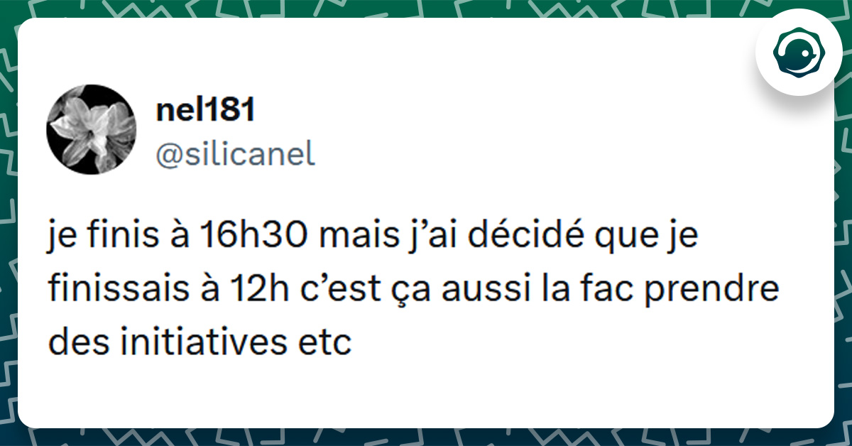 Tweet liseré de vert de @silicanel disant "je finis à 16h30 mais j’ai décidé que je finissais à 12h c’est ça aussi la fac prendre des initiatives etc"