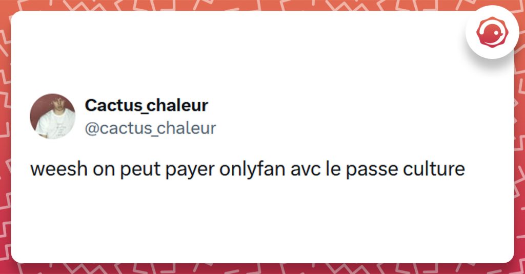 Tweet liseré de rouge de @cactus_chaleur disant "weesh on peut payer onlyfan avc le passe culture"