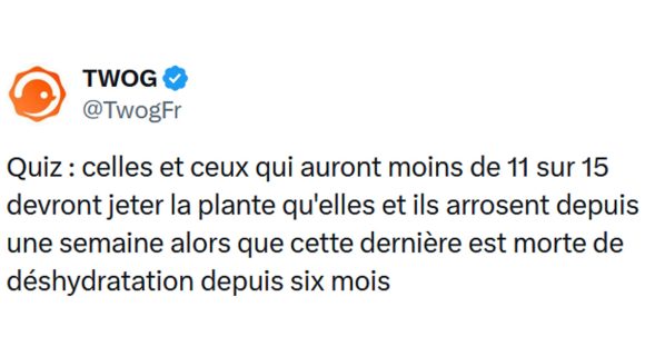 Image de couverture de l'article : Quiz : 15 questions de culture générale #376