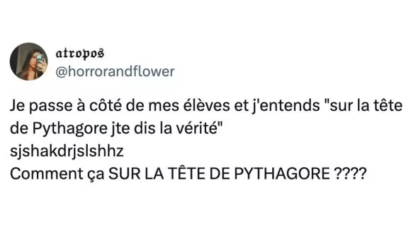 Image de couverture de l'article : Top 15 des meilleurs posts sur Pythagore, le boug du théorème là