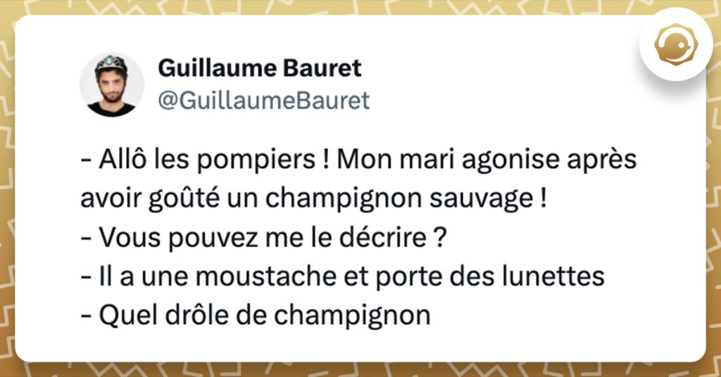 Tweet de @GuillaumeBauret - Allô les pompiers ! Mon mari agonise après avoir goûté un champignon sauvage ! - Vous pouvez me le décrire ? - Il a une moustache et porte des lunettes - Quel drôle de champignon