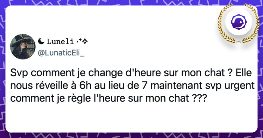 @LunaticEli_ Svp comment je change d'heure sur mon chat ? Elle nous réveille à 6h au lieu de 7 maintenant svp urgent comment je règle l'heure sur mon chat ???