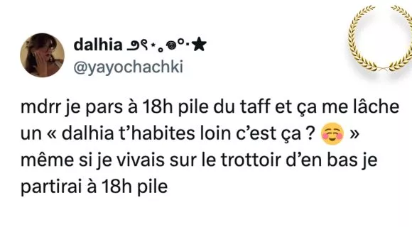 Image de couverture de l'article : Top 15 des tweets les plus drôles de la semaine #131