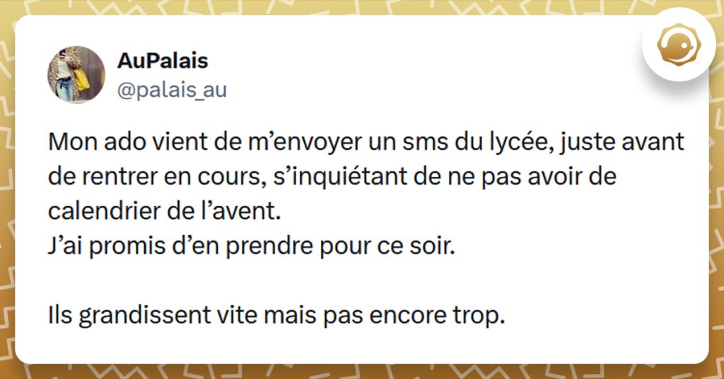 Post liseré de jaune de @palais_au disant "Mon ado vient de m’envoyer un sms du lycée, juste avant de rentrer en cours, s’inquiétant de ne pas avoir de calendrier de l’avent. J’ai promis d’en prendre pour ce soir. Ils grandissent vite mais pas encore trop."