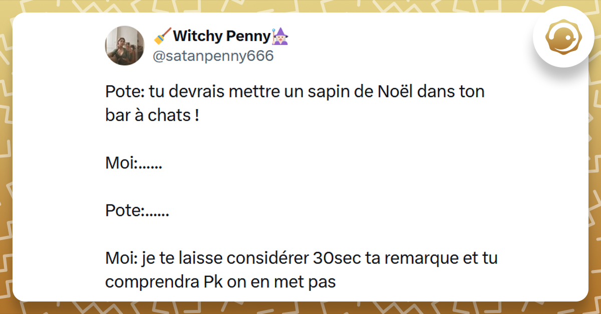 Post liseré de jaune de @satanpenny666 disant "Pote: tu devrais mettre un sapin de Noël dans ton bar à chats ! Moi:...... Pote:...... Moi: je te laisse considérer 30sec ta remarque et tu comprendra Pk on en met pas"