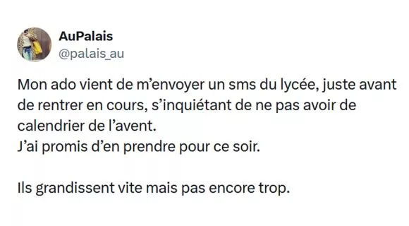 Image de couverture de l'article : Top 15 des posts les plus drôles sur le calendrier de l’Avent, j’ai déjà tout mangé !