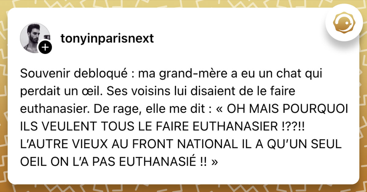 Post de @tonyinparisnext : "Souvenir debloqué : ma grand-mère a eu un chat qui perdait un œil. Ses voisins lui disaient de le faire euthanasier. De rage, elle me dit : « OH MAIS POURQUOI ILS VEULENT TOUS LE FAIRE EUTHANASIER !??!! L’AUTRE VIEUX AU FRONT NATIONAL IL A QU’UN SEUL OEIL ON L’A PAS EUTHANASIÉ !! »"