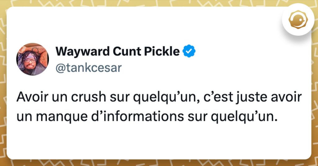 Tweet de @tankcesar : "Avoir un crush sur quelqu’un, c’est juste avoir un manque d’informations sur quelqu’un."