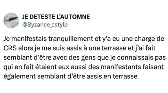 Image de couverture de l'article : Top 15 des choses les plus étranges arrivées en manif