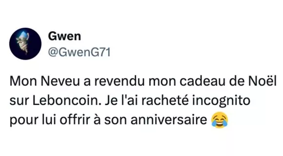 Image de couverture de l'article : Top 15 de vos expériences sur Leboncoin, meilleur site post-Noël