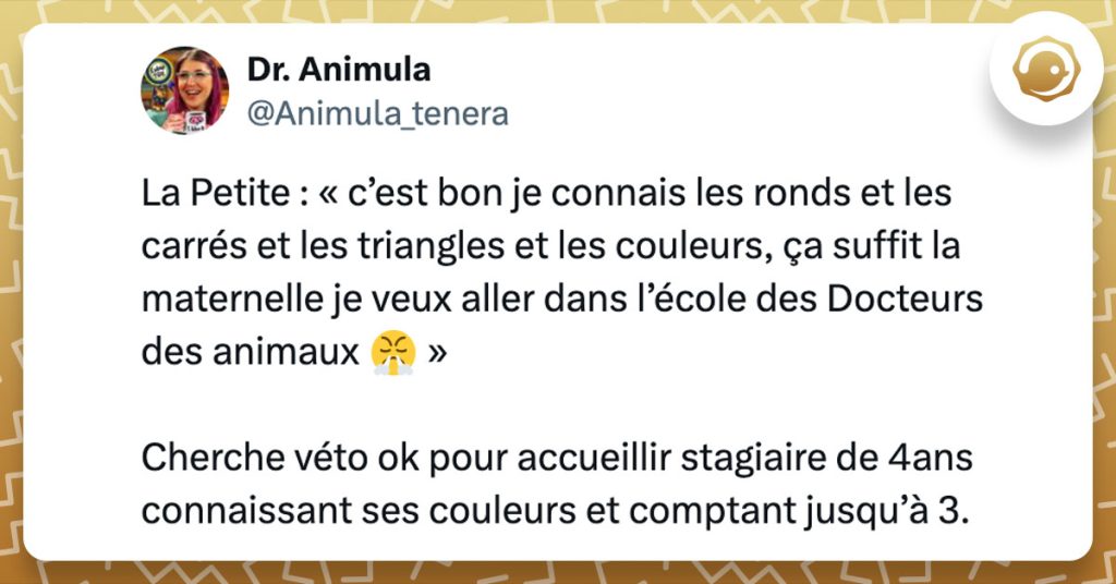 Tweet de @Animula_tenera : "La Petite : « c’est bon je connais les ronds et les carrés et les triangles et les couleurs, ça suffit la maternelle je veux aller dans l’école des Docteurs des animaux 😤 » Cherche véto ok pour accueillir stagiaire de 4ans connaissant ses couleurs et comptant jusqu’à 3."