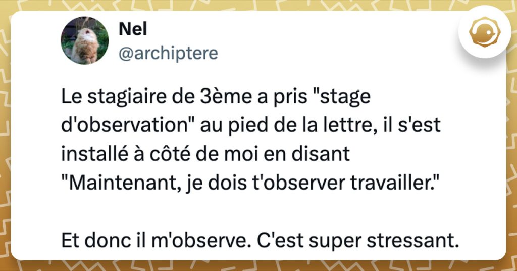 Tweet de @archiptere : "Le stagiaire de 3ème a pris "stage d'observation" au pied de la lettre, il s'est installé à côté de moi en disant "Maintenant, je dois t'observer travailler." Et donc il m'observe. C'est super stressant."