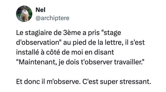 Image de couverture de l'article : Vous voulez vous sentir vieux ? Prenez un stagiaire de 3ème !