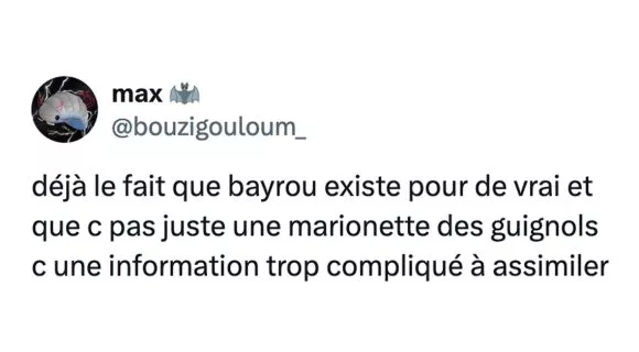 Image de couverture de l'article : François Bayrou premier ministre, vos réactions