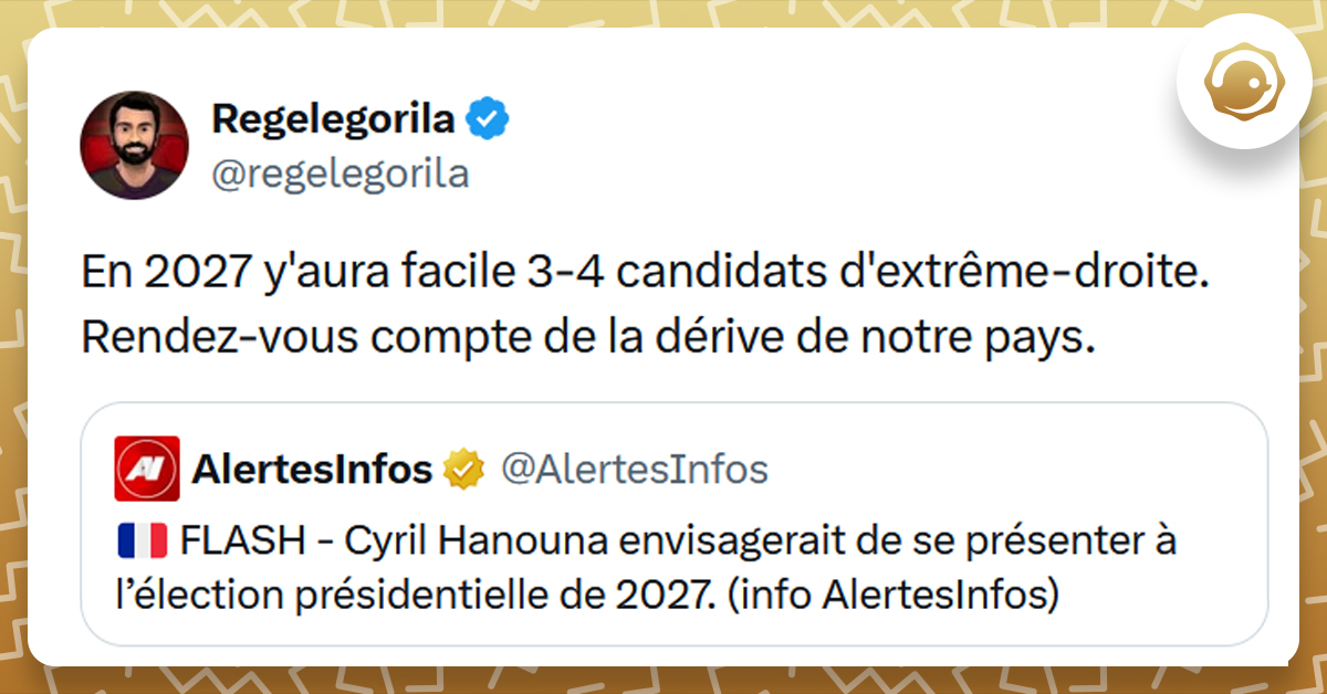 Post liseré de jaune de @AlertesInfos disant "Cyril Hanouna envisagerait de se présenter à l’élection présidentielle de 2027. (info AlertesInfos)". Post de @regelegorila répondant "En 2027 y'aura facile 3-4 candidats d'extrême-droite. Rendez-vous compte de la dérive de notre pays."