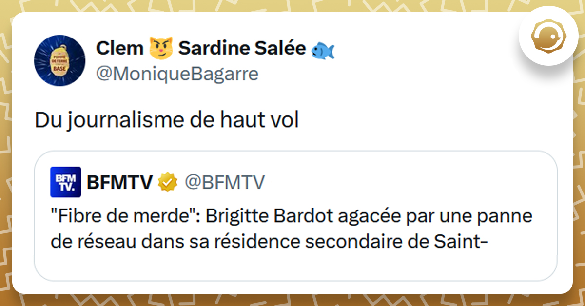 Post liseré de jaune de @BFMTV disant ""Fibre de merde": Brigitte Bardot agacée par une panne de réseau dans sa résidence secondaire de Saint-Tropez". Post de @MoniqueBagarre répondant "Du journalisme de haut vol"