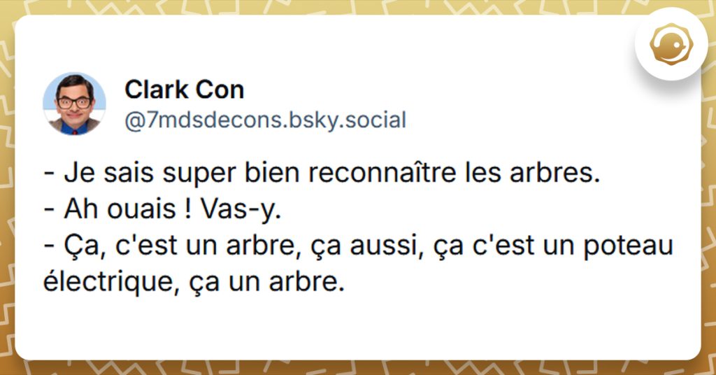 Post liseré de jaune de @7mdsdecons disant "- Je sais super bien reconnaître les arbres. - Ah ouais ! Vas-y. - Ça, c'est un arbre, ça aussi, ça c'est un poteau électrique, ça un arbre."